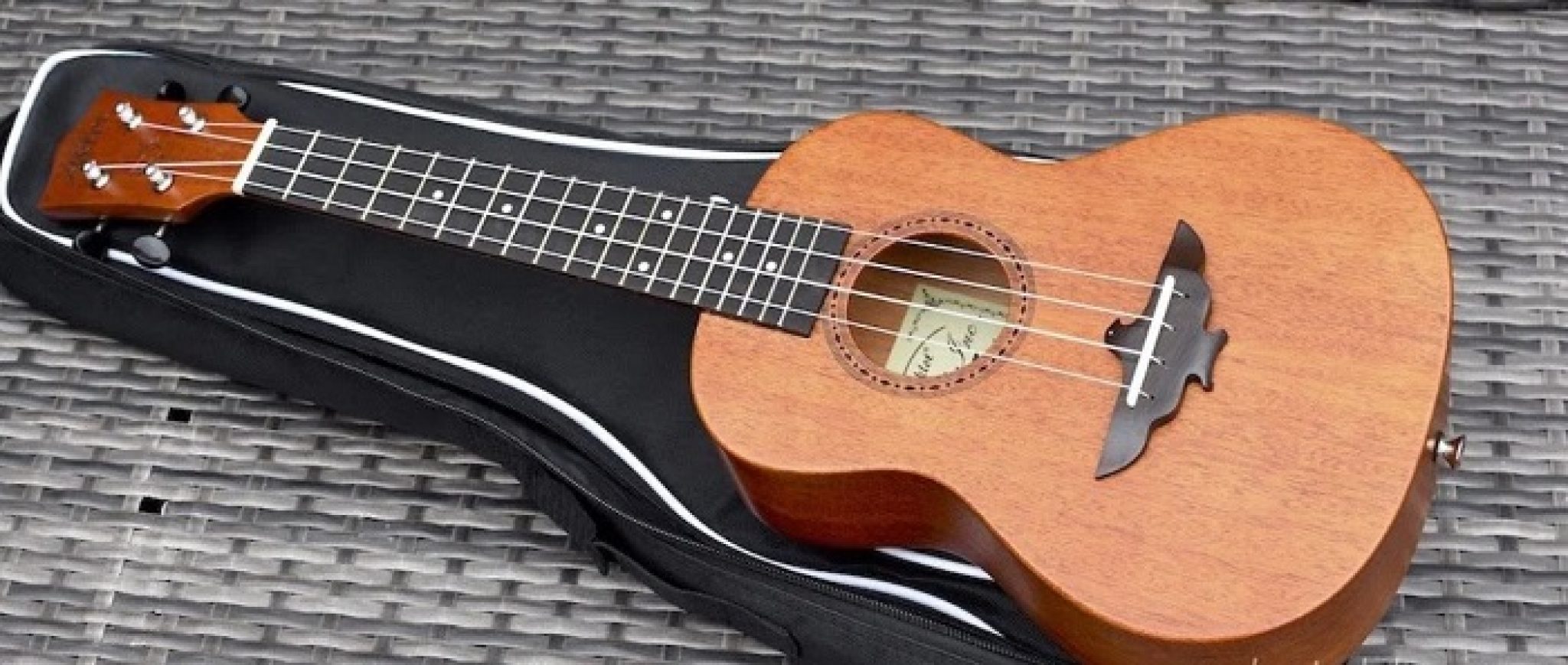 Aklot Ukulele Review Amazing Buyers Guide For 2023