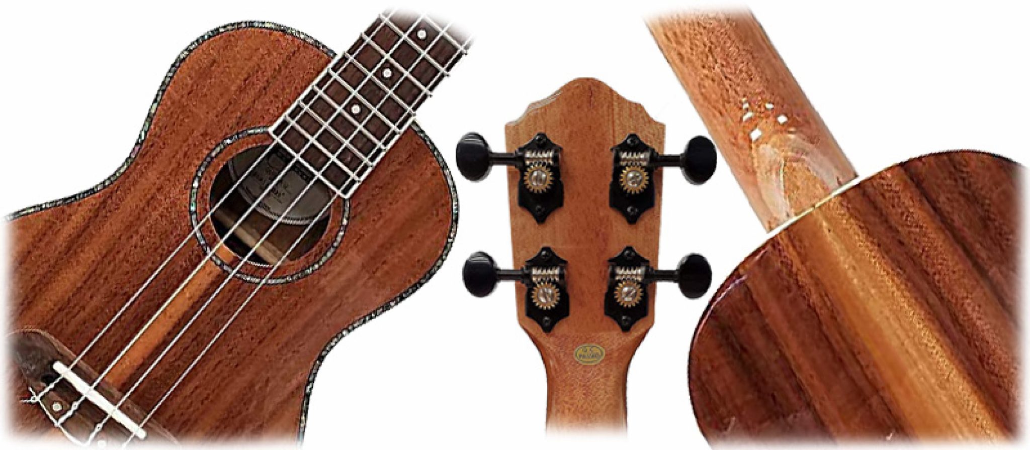 Oscar Schmidt Ukulele Review & Best OU5 Concert Ukulele