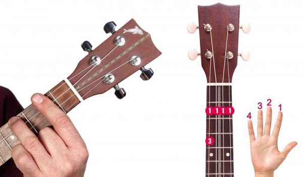 how-to-play-b-minor-on-ukulele-3-easy-variations