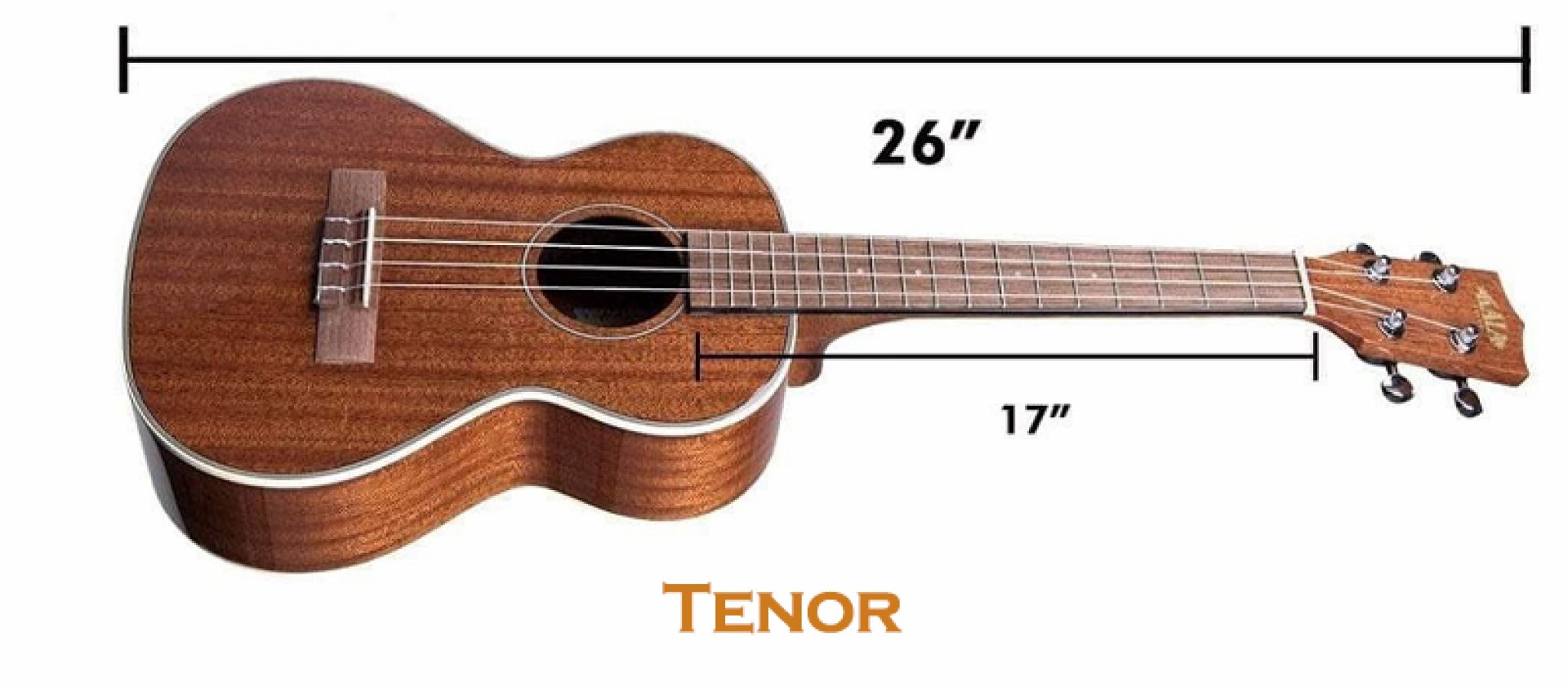 Ukulele Types And Sizes Great Guide To 5 Different Kinds Of Ukuleles