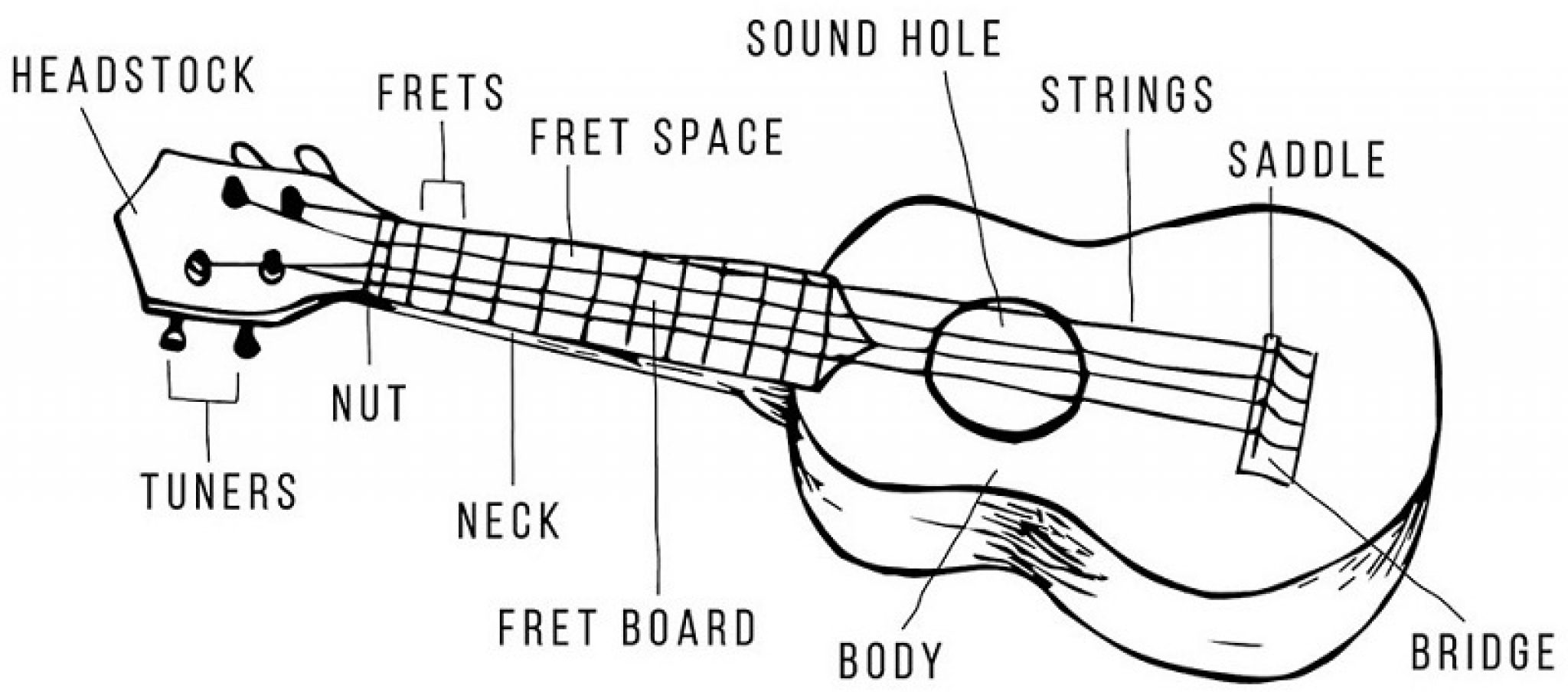 What Are the Parts of a Ukulele? All Parts Explained!