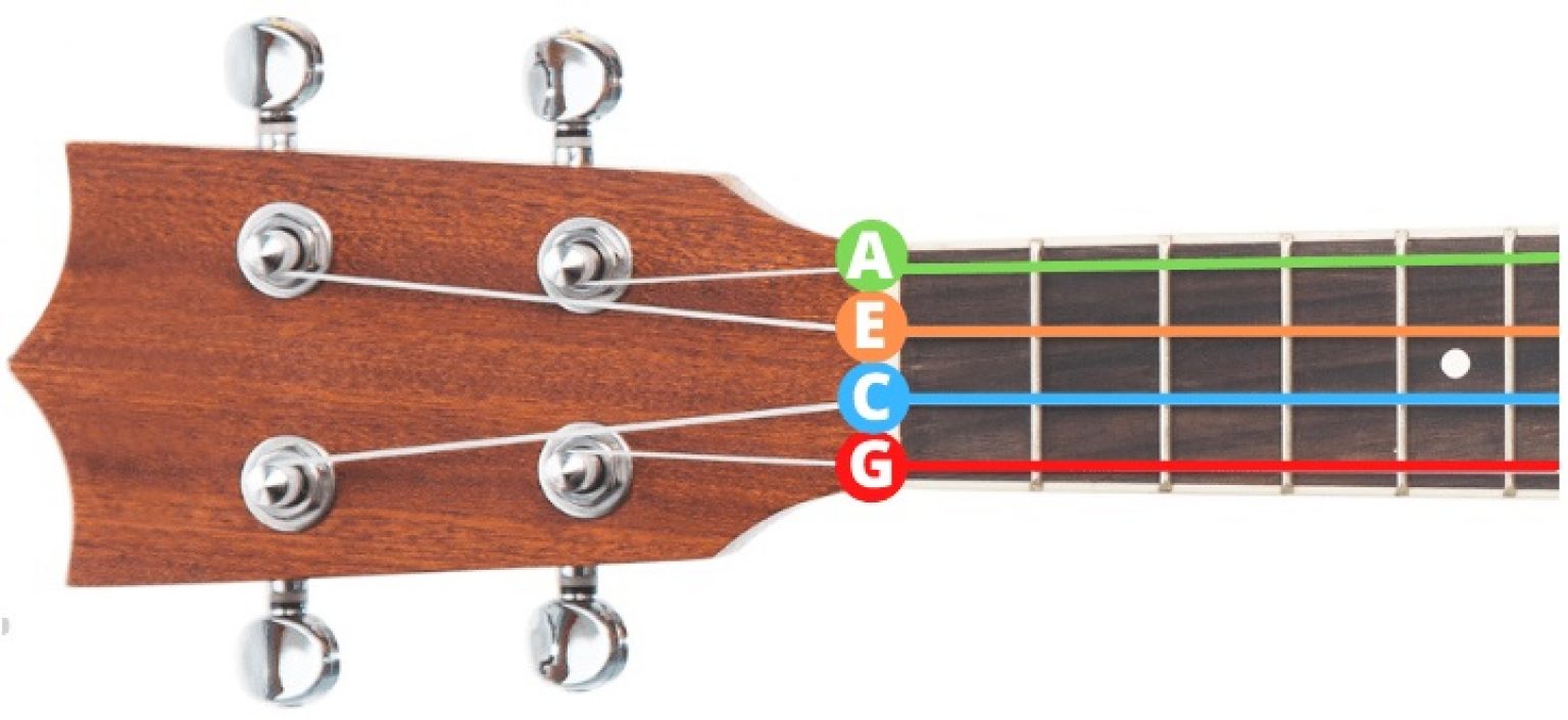 Complete Guide to Ukulele Strings Notes, Names, and Numbers