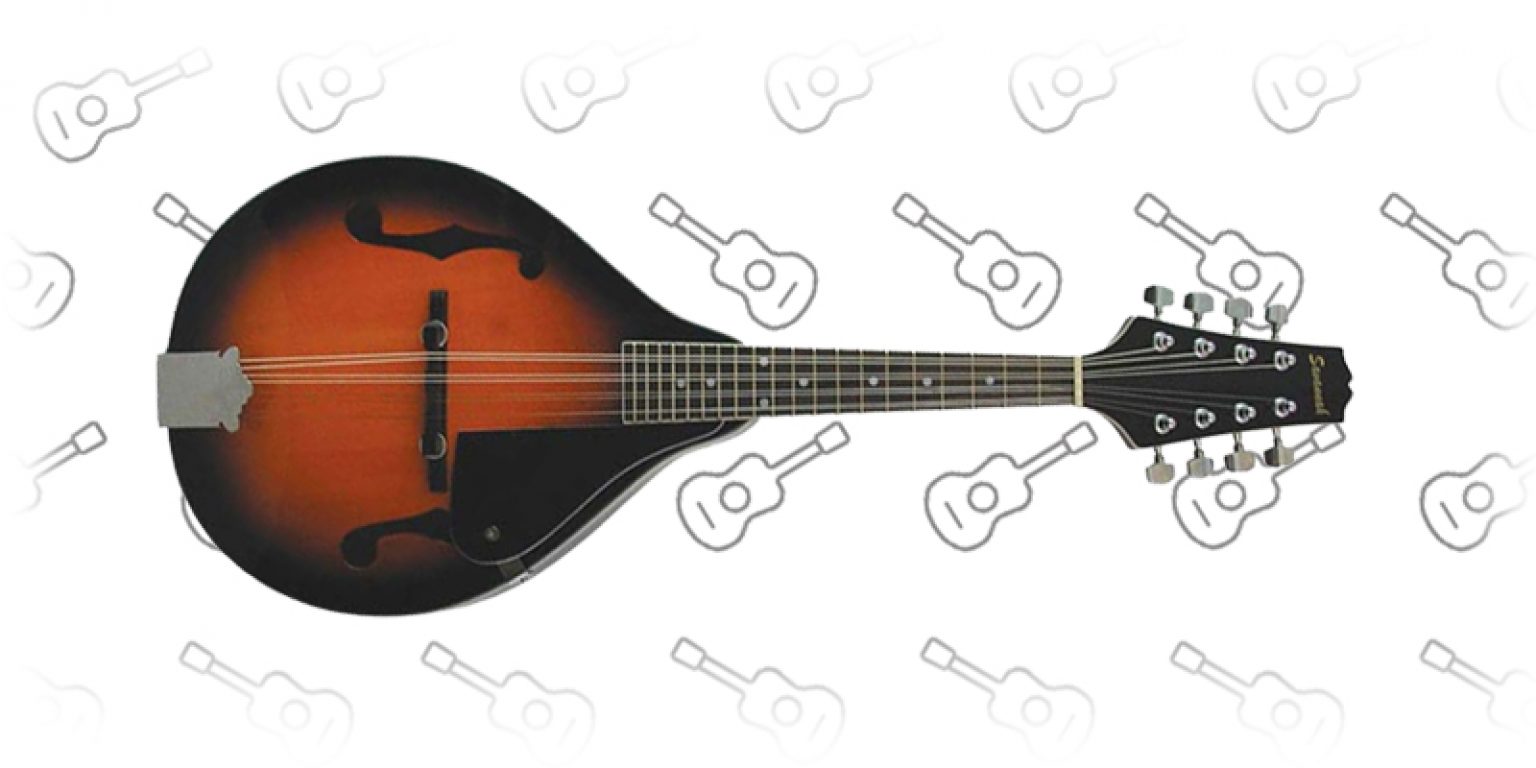 Top 15 Best Mandolins Huge Buyers Guide 2023 Fresh 1813