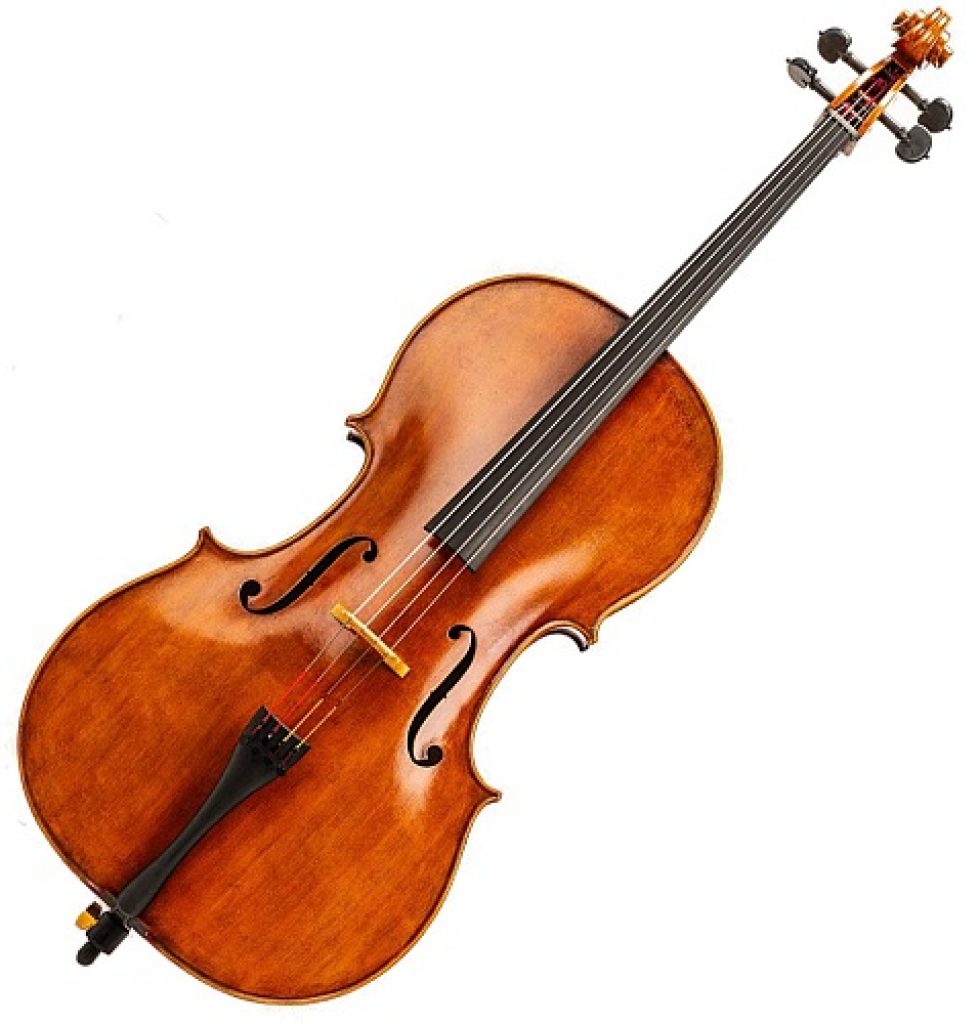 Best Guide for Buying a Cello for 2023 - Strings Kings