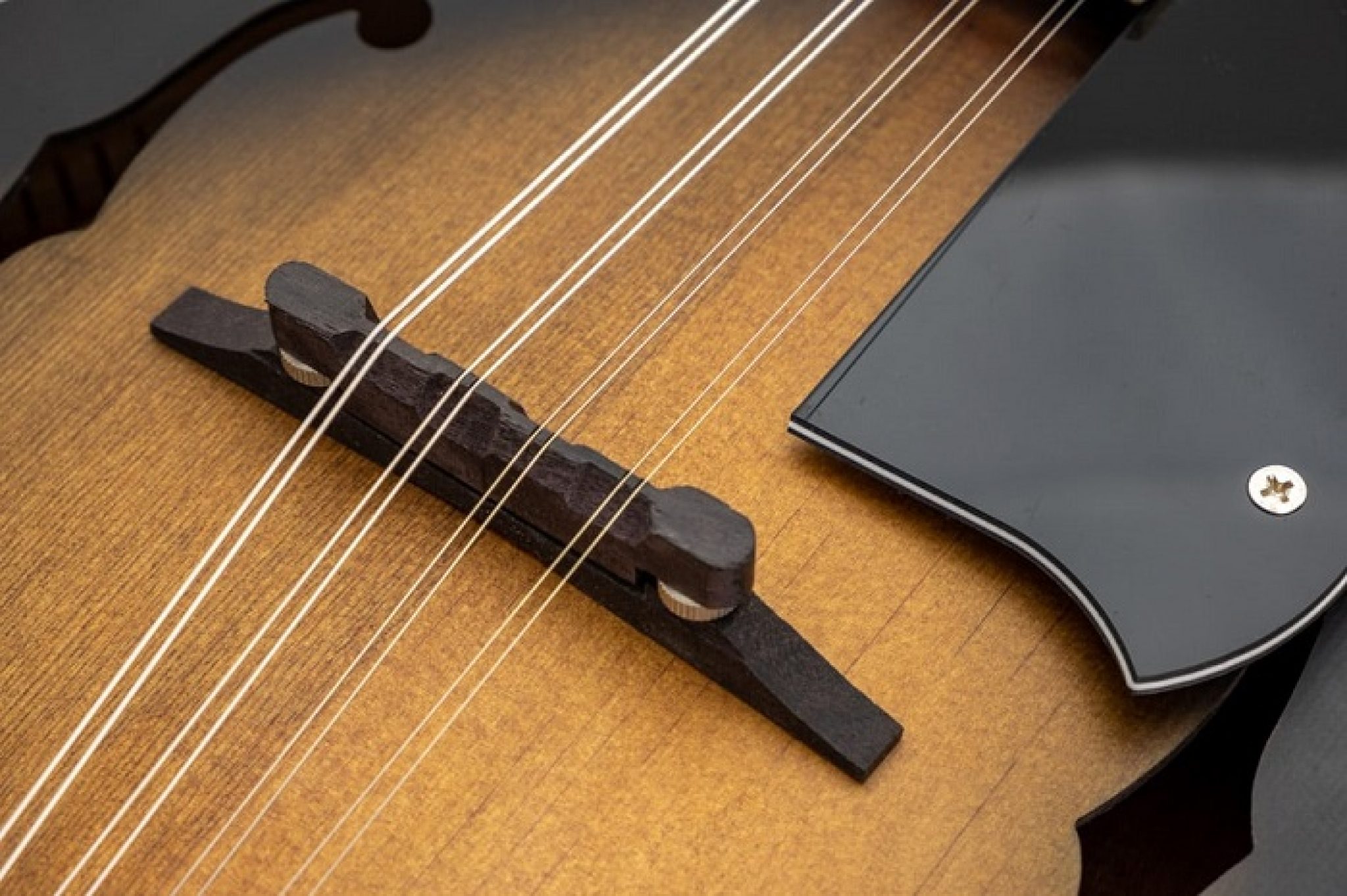 The 7 Best Mandolin Strings - Top Models + Buyers Guide!