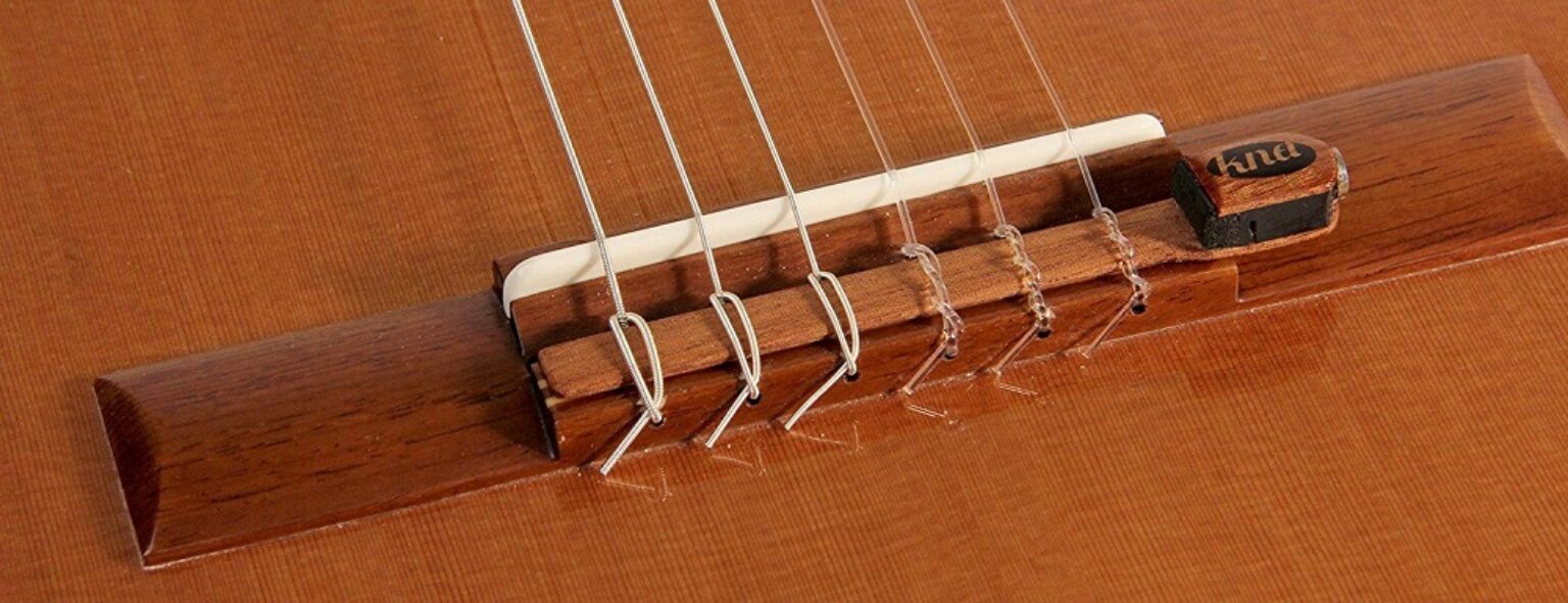 Nylon Vs Steel Strings Basic Variations Pros And Cons