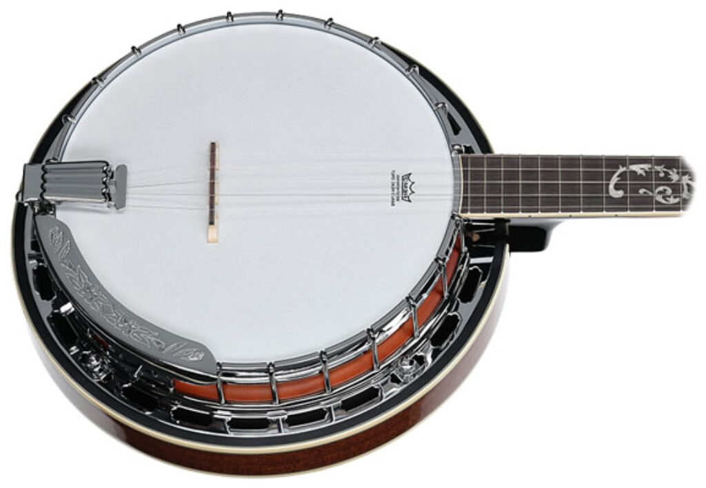 Ibanez B200 Banjo Review (2023) - Amazing 5-String Banjo!