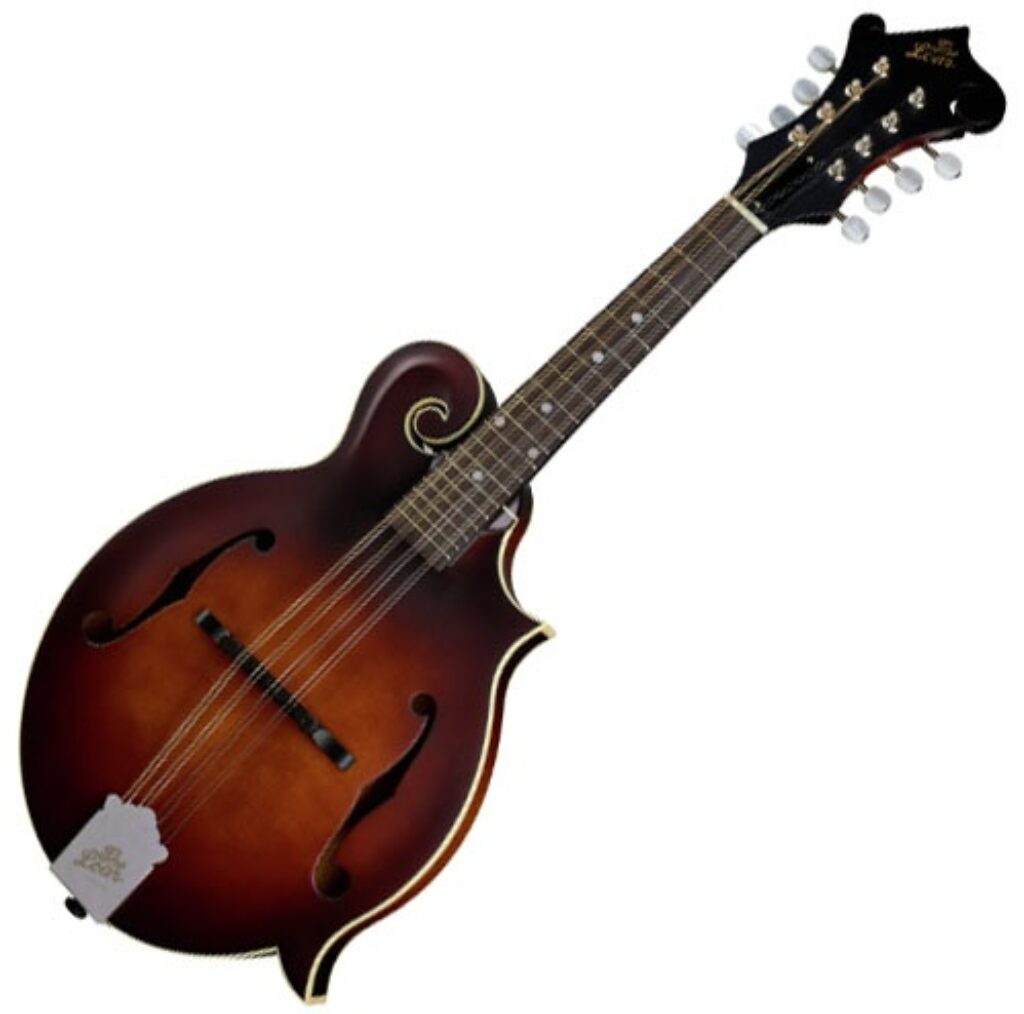 The Loar LM 310F Review Amazing F-Style Mandolin!