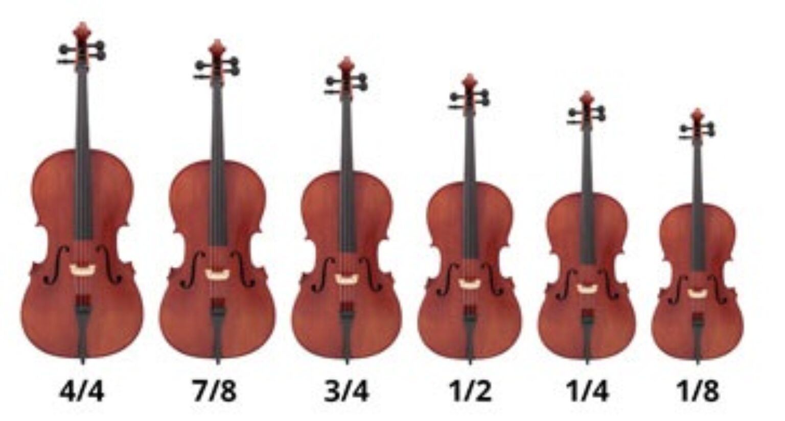 What Is A Cello? Facts, History, And Usage Of Violoncello!